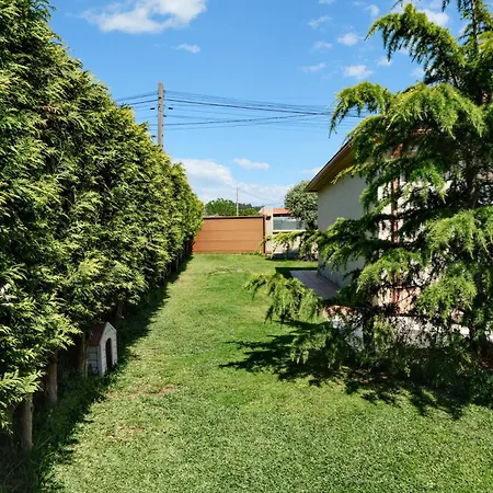 Sear Areas Sanxenxo