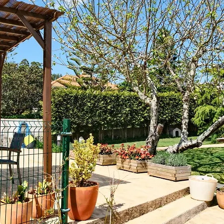Sear Areas Sanxenxo